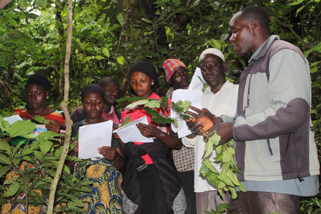 Learning to identify plants in Ngel Nyaki forest, Nigeria