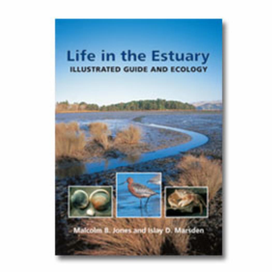 Life in the Estuary
