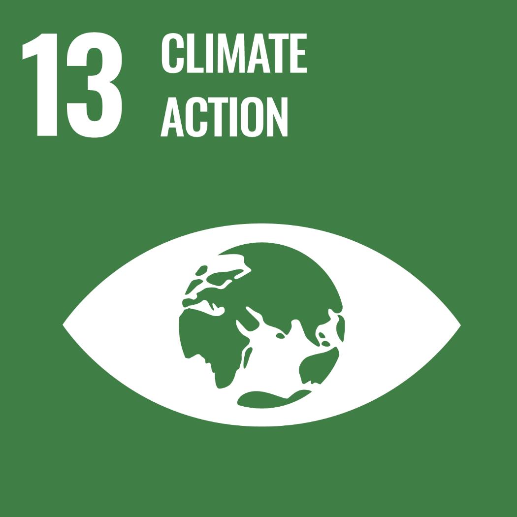Sustainable Development Goal (SDG) 13 - Climate Action