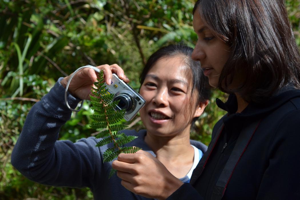 Students Photographing Native Flora Biology