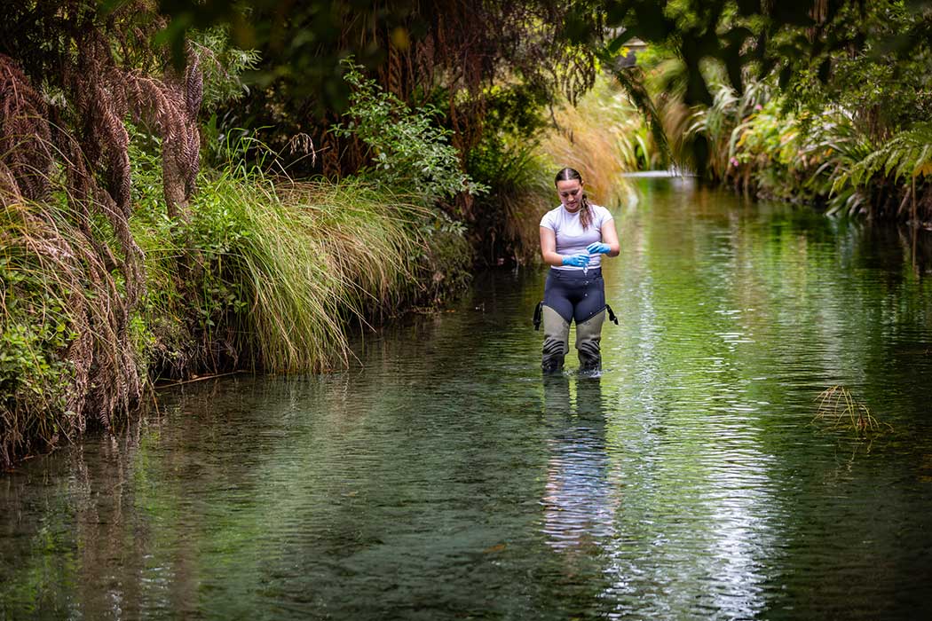 Person walking through a river wearing river waders and groves, collecting a water sample in a test tube.