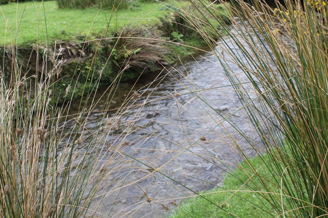 Wananga landing