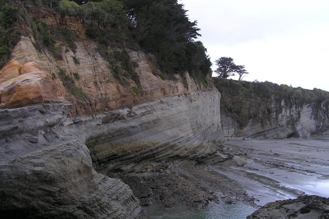 Wananga landing