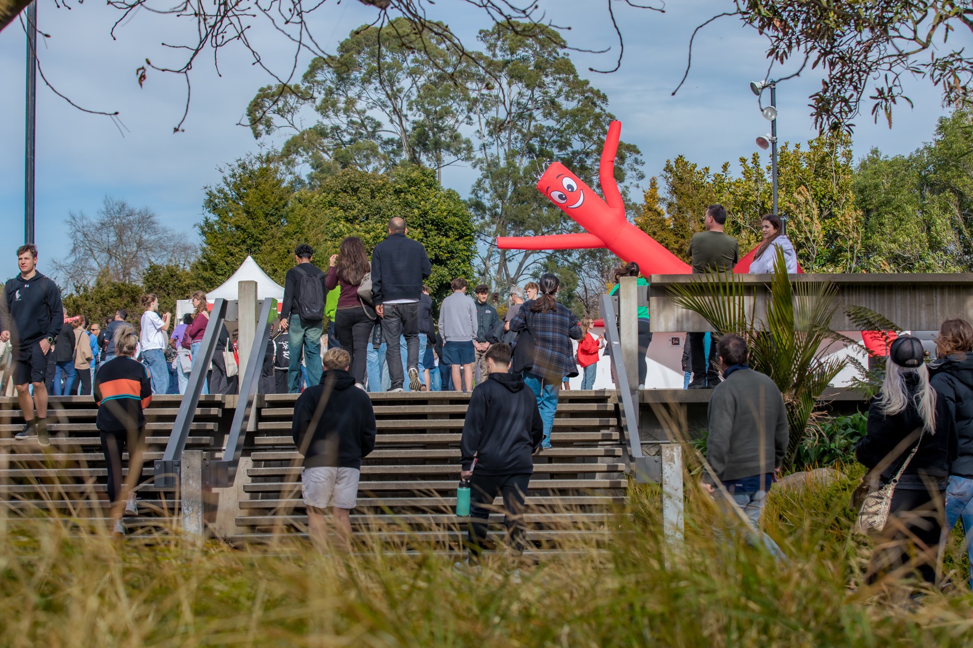 Wananga landing