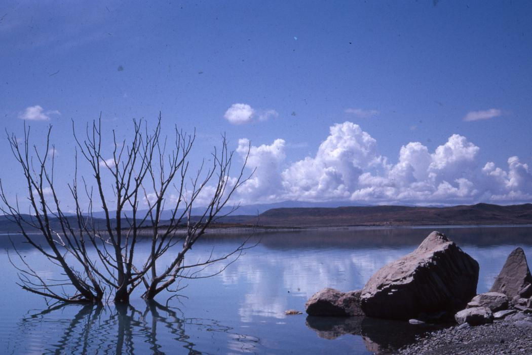 Wananga landing