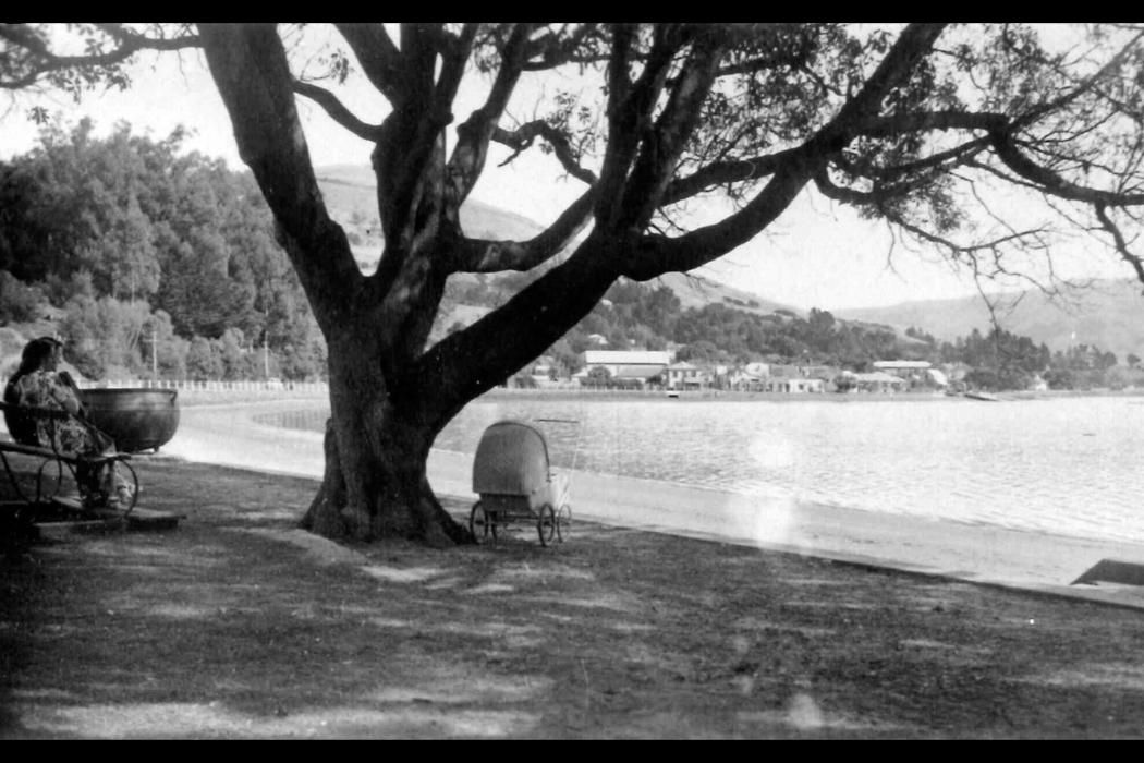 Wananga landing