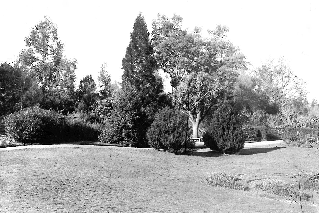 Wananga landing