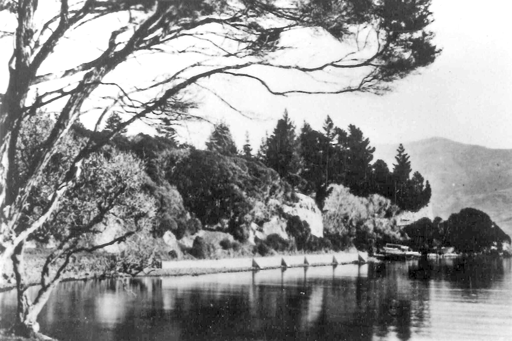 Wananga landing