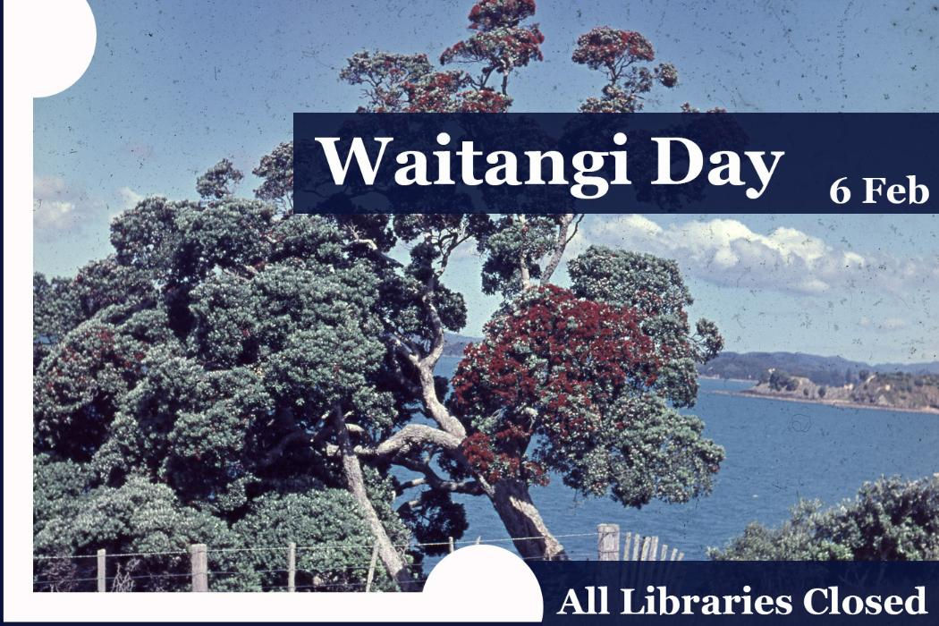 Wananga landing
