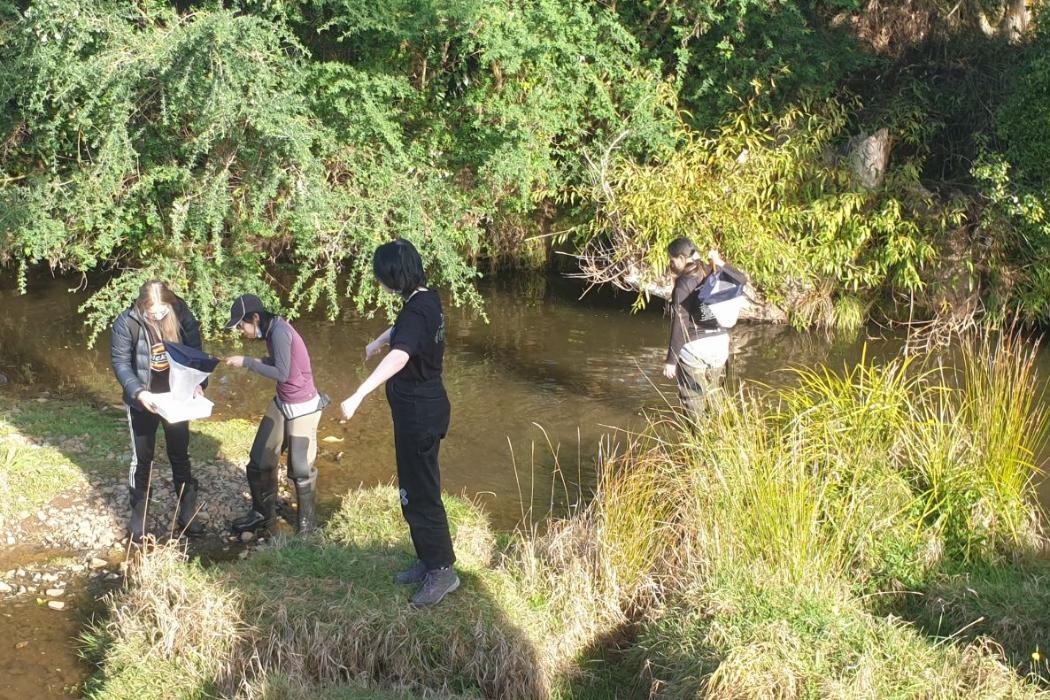 Students wade in to use Biodiversity Box | University of Canterbury