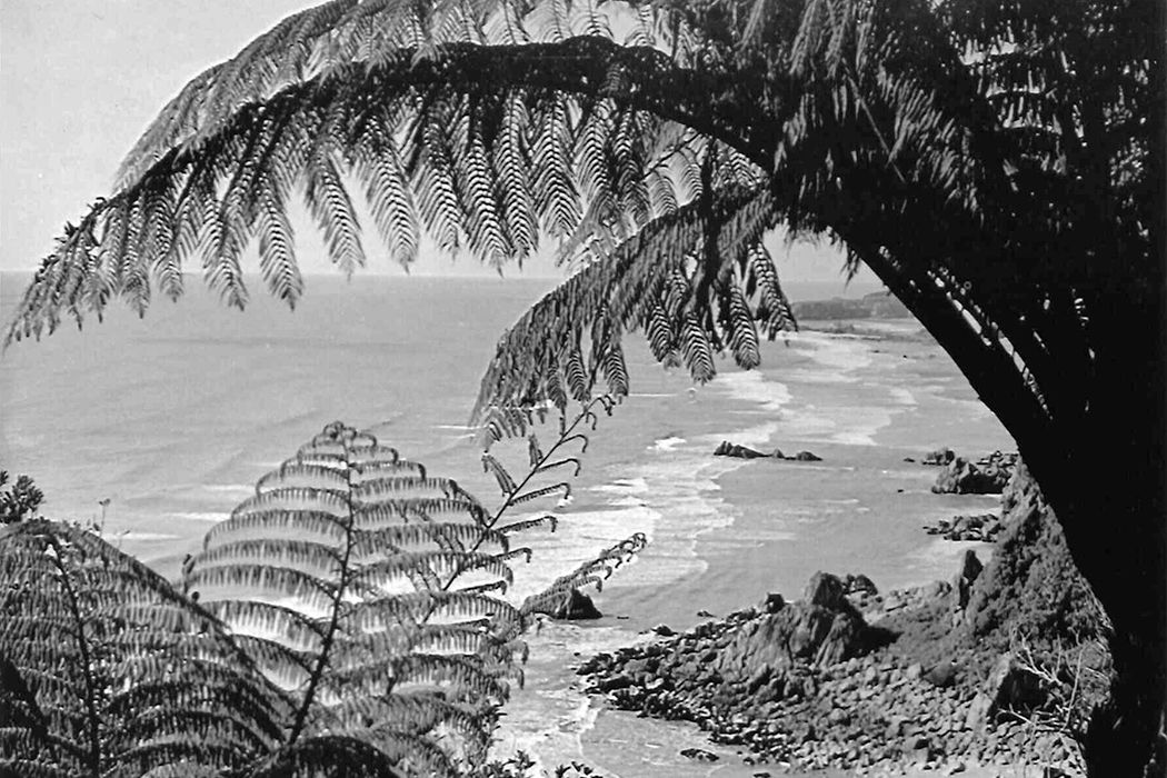 Wananga landing