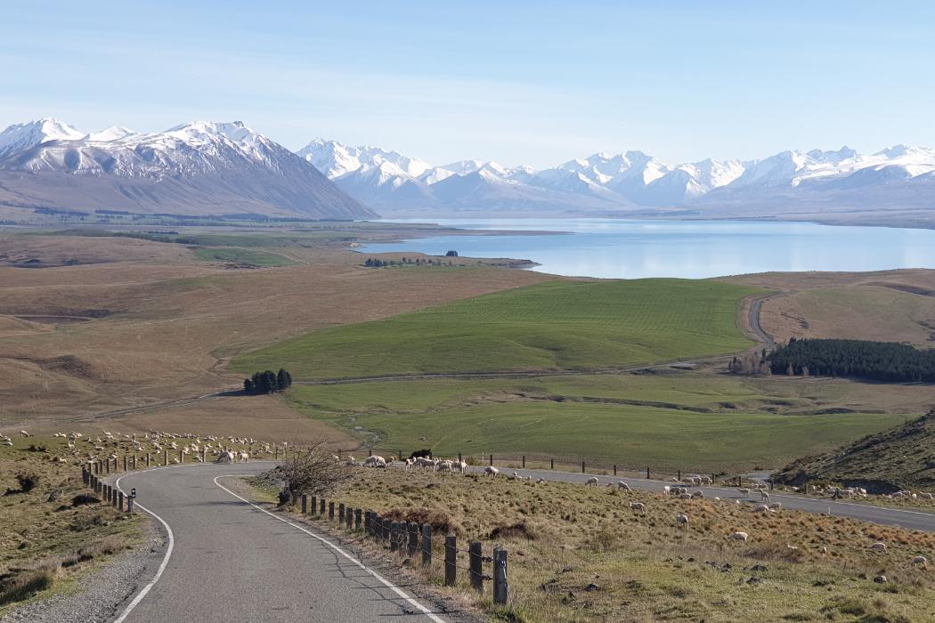 Wananga landing