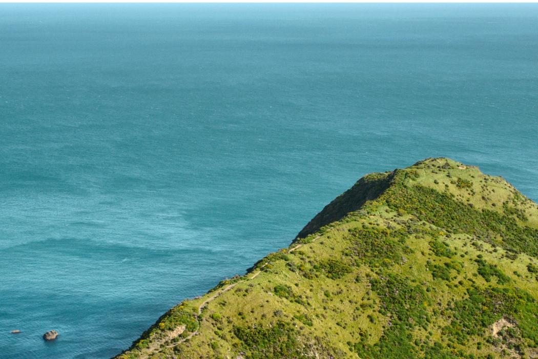 Wananga landing