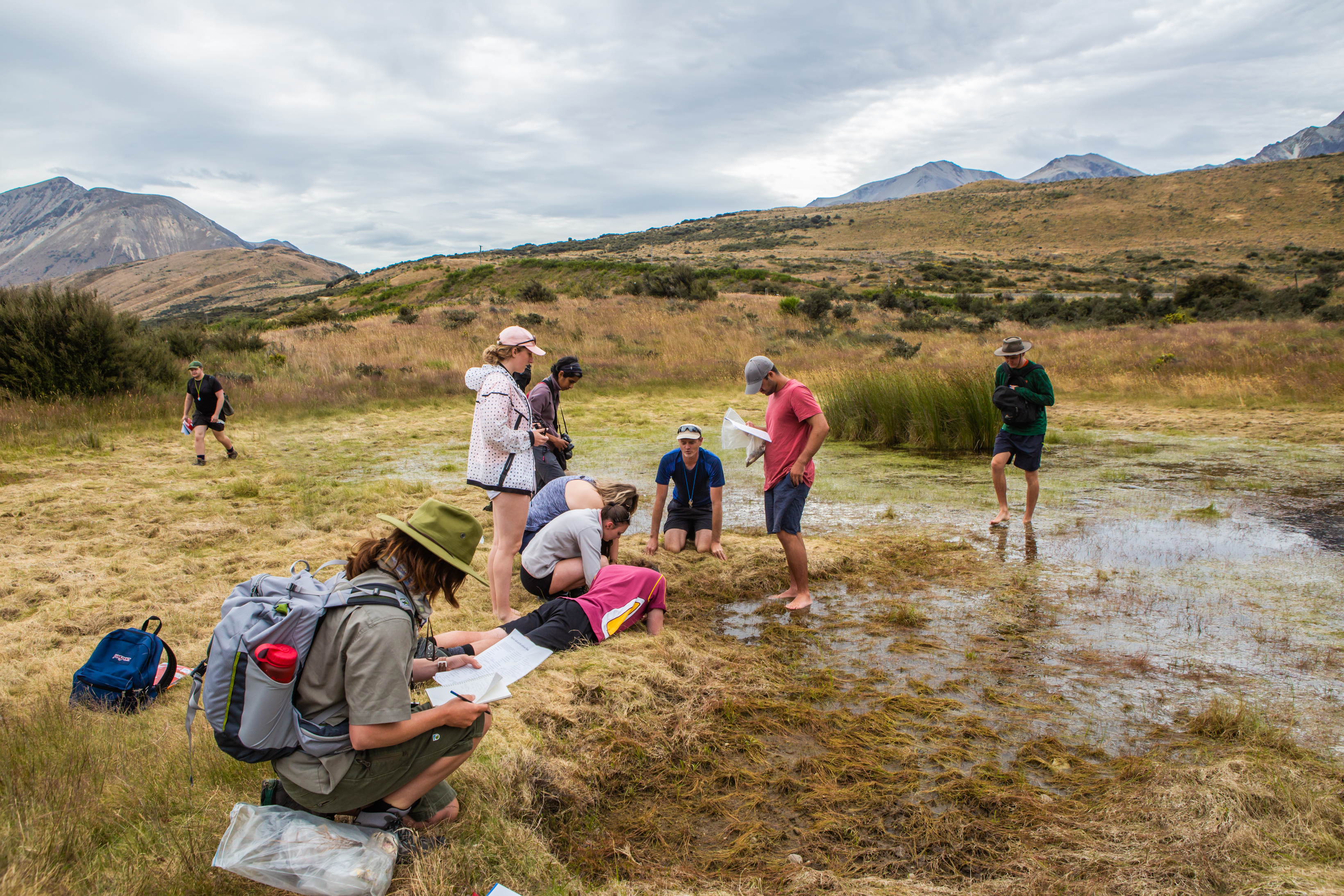 Wananga landing