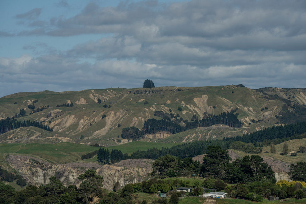 Wananga Landing