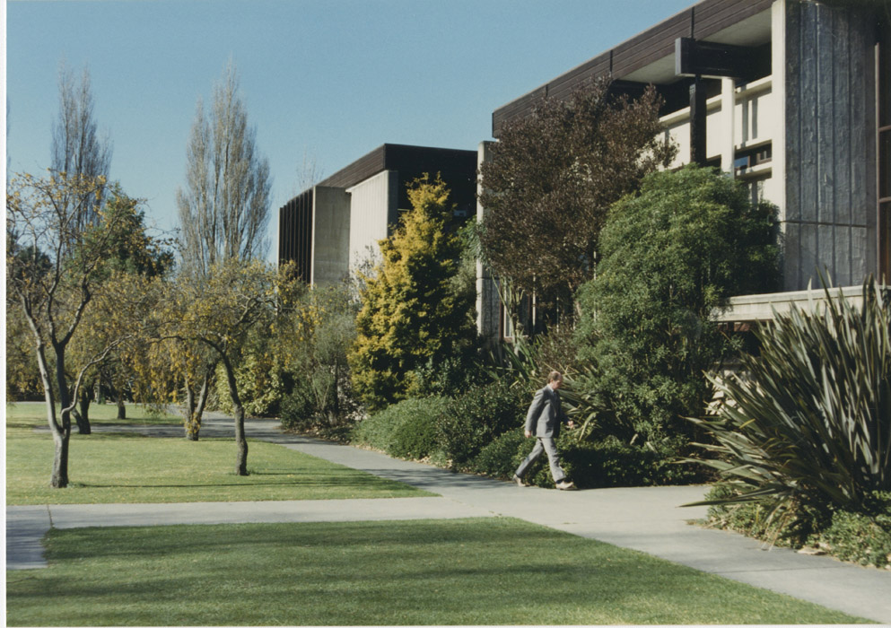 Wananga landing