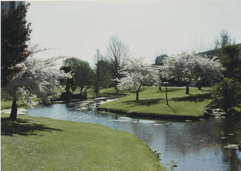 Wananga landing