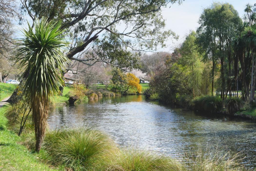 Wananga landing