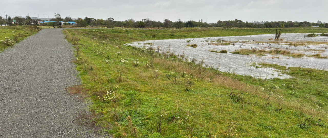 Wananga landing