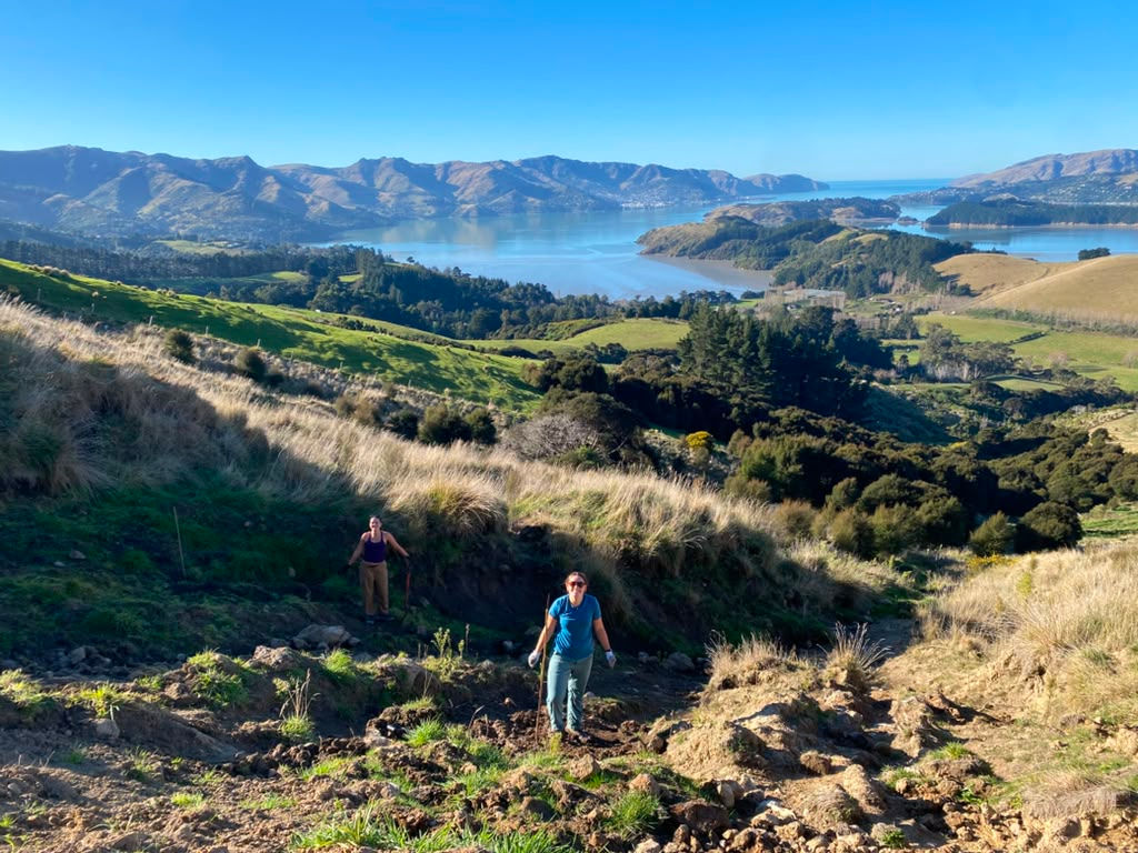 Wananga Landing