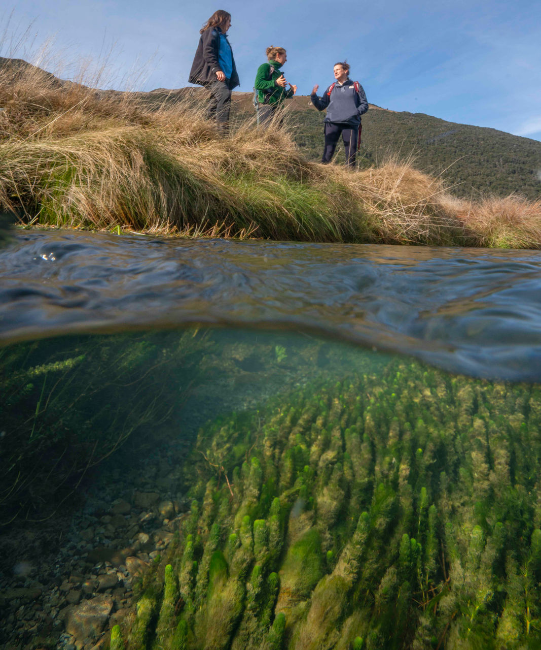 Wananga Landing