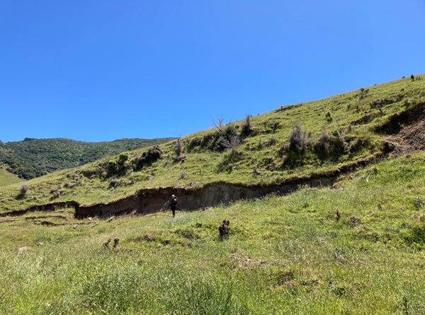 Wananga Landing