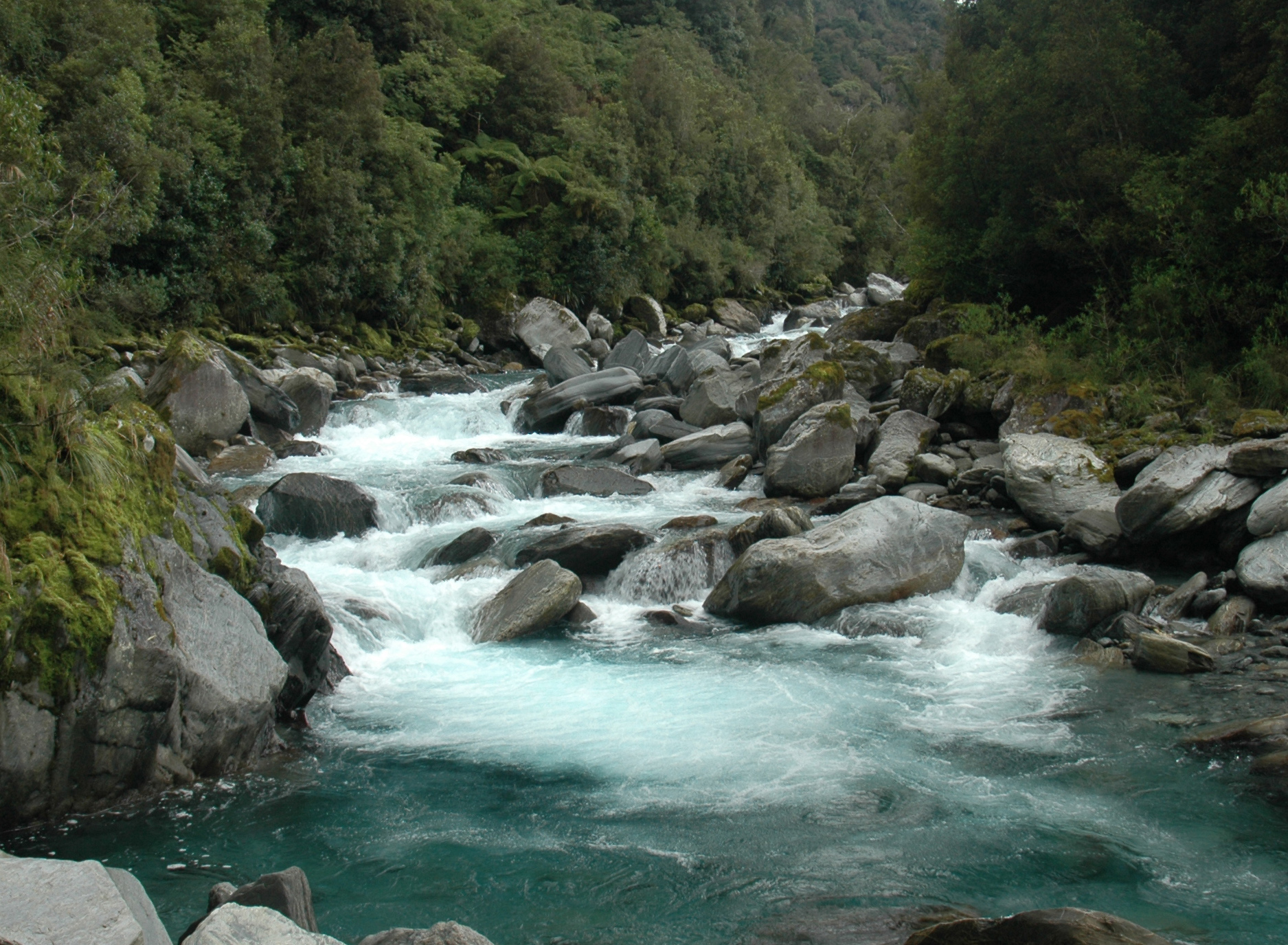 Wananga landing