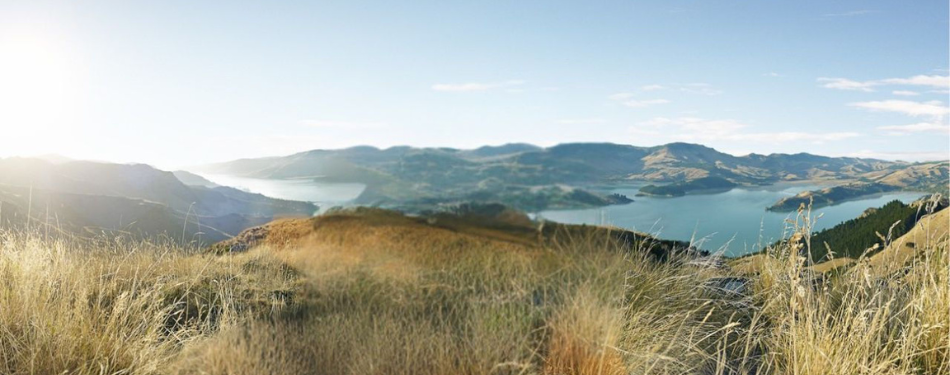 Wananga landing