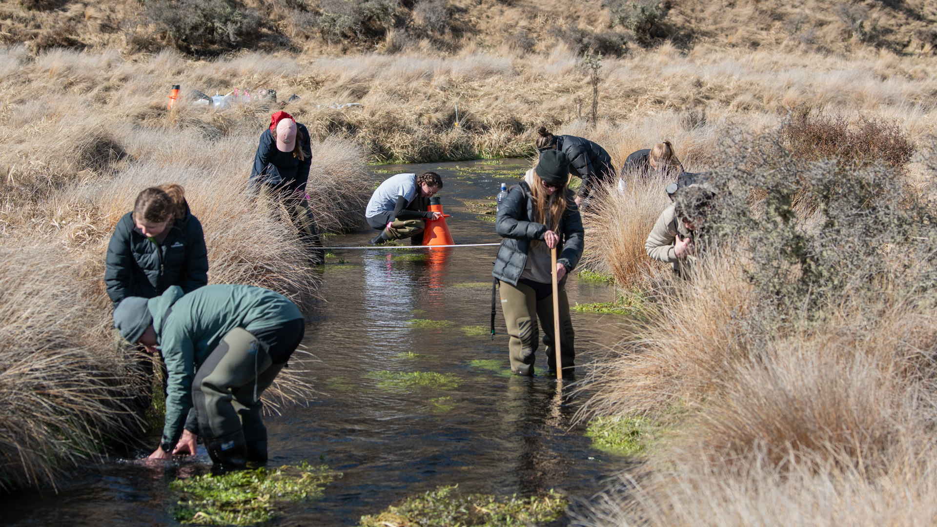 Group of people walking through a stream and collecting samples.