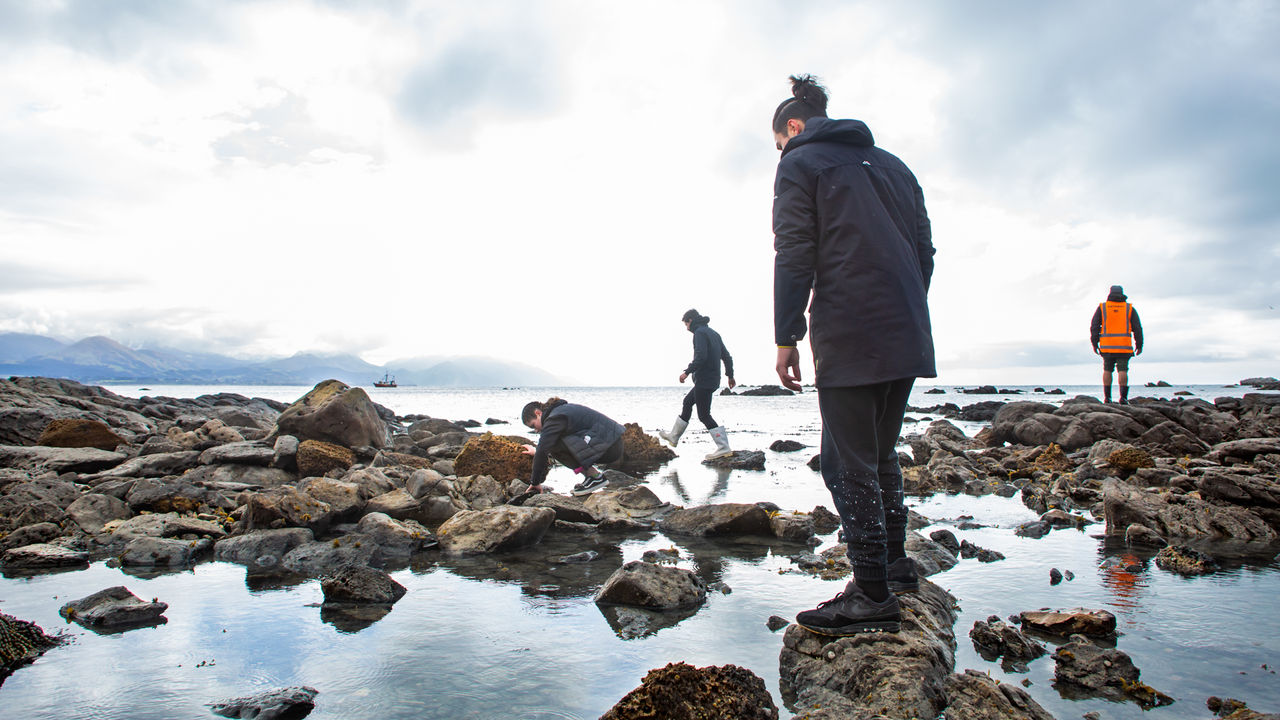 Students studying the rocky shoreline for biological life