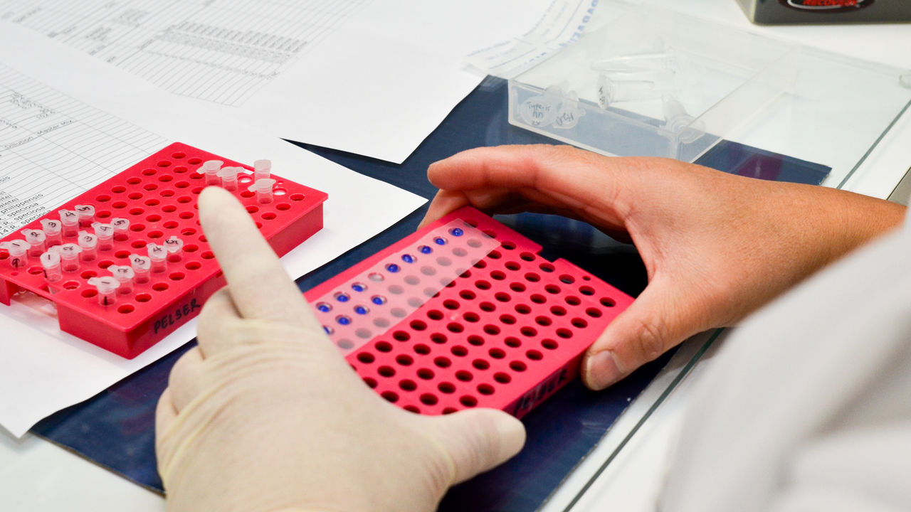 Molecular biology lab with a student holding a rack with droplets of samples.
