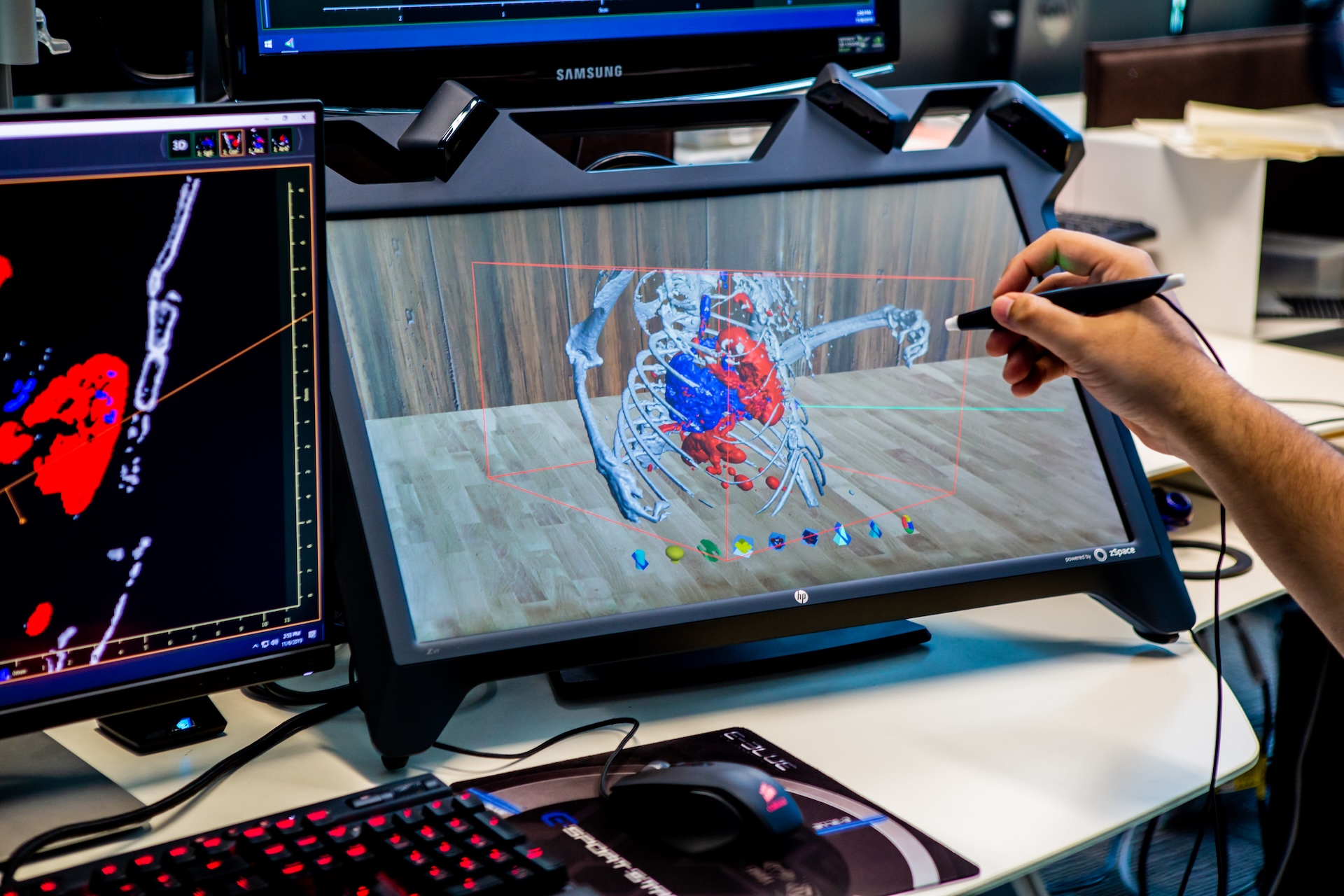Person interacting with a 3D model of a skeleton on a screen.
