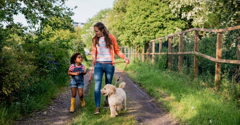 A woman, young girl and dog walking outside, boosting their wellbeing after studying with Tuihono UC | UC Online