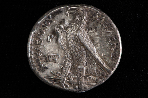 Eagle with open wings Eagle with open wings