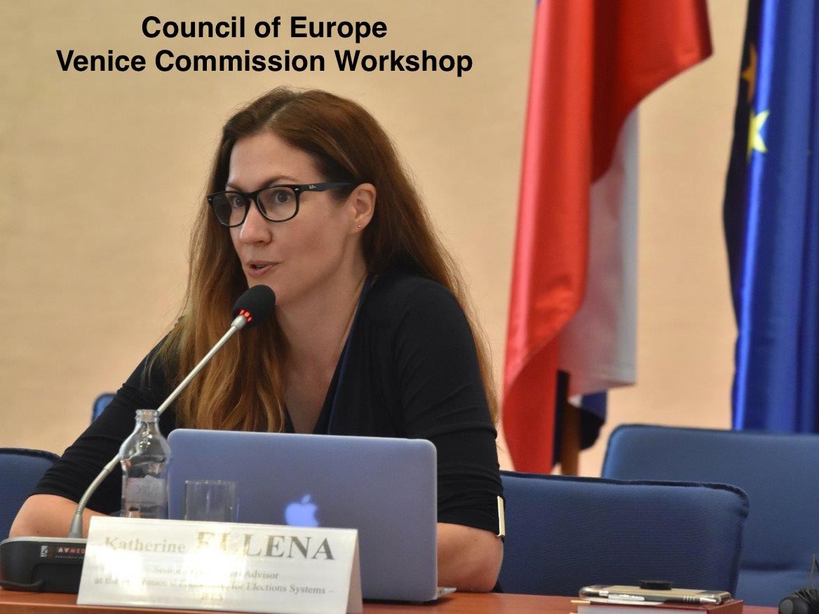 Speaking at the Council of Europe Workshop