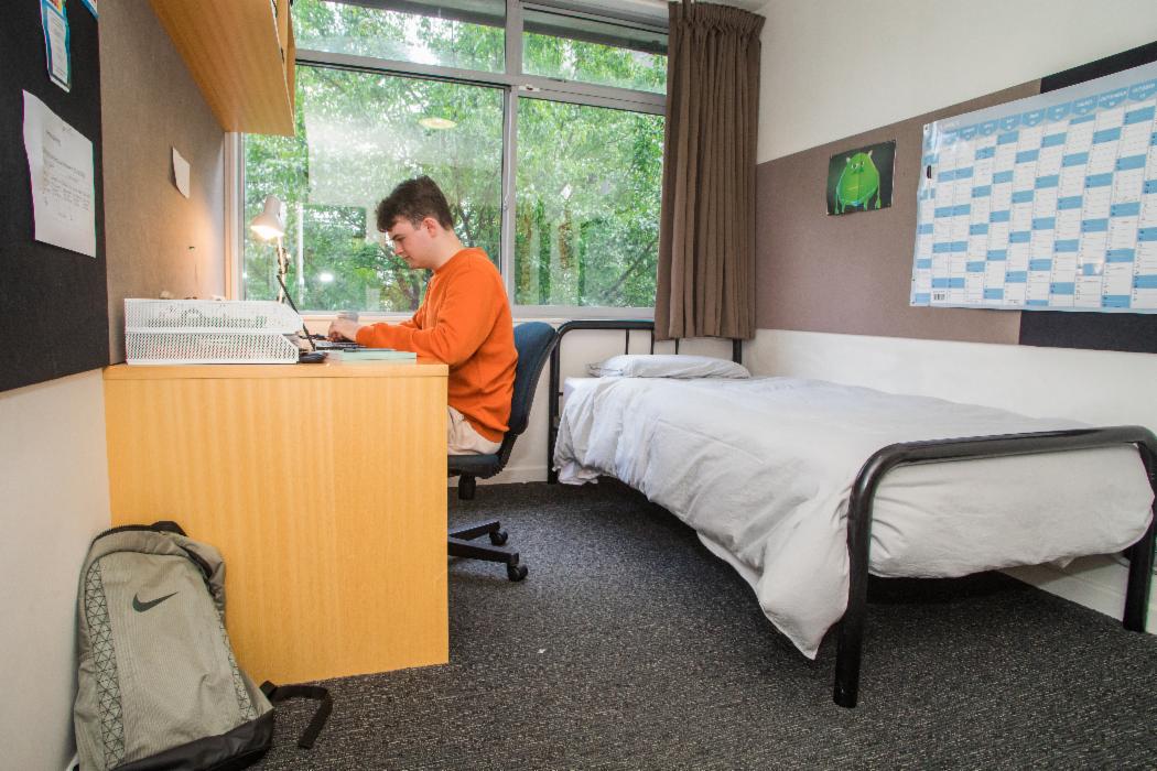 Studying in bedroom at Ilam Apartments Studying in bedroom at Ilam Apartments