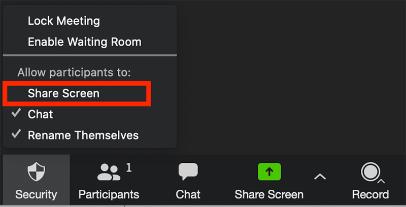 Zoom Share Screen
