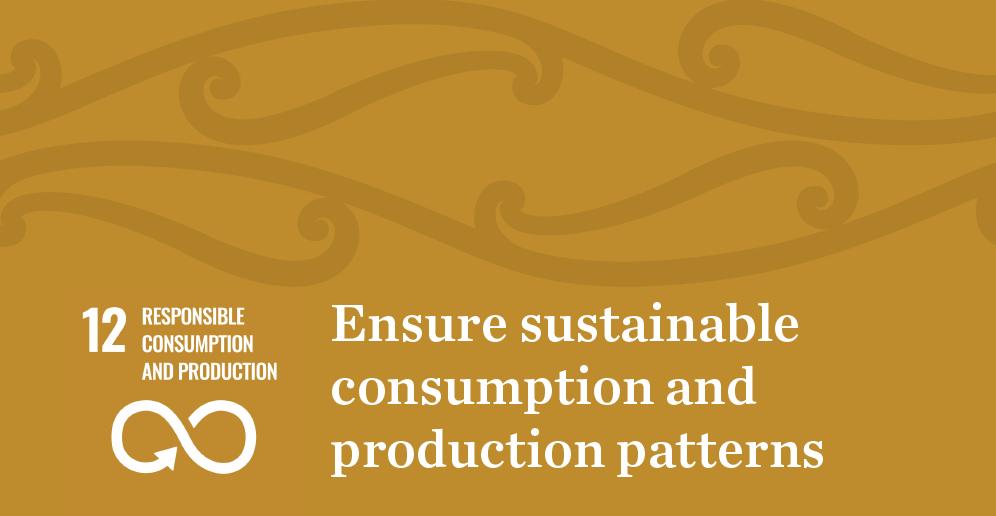 SDG 12 - Responsible Consumption and Production. Ensure sustainable consumption and production patterns.