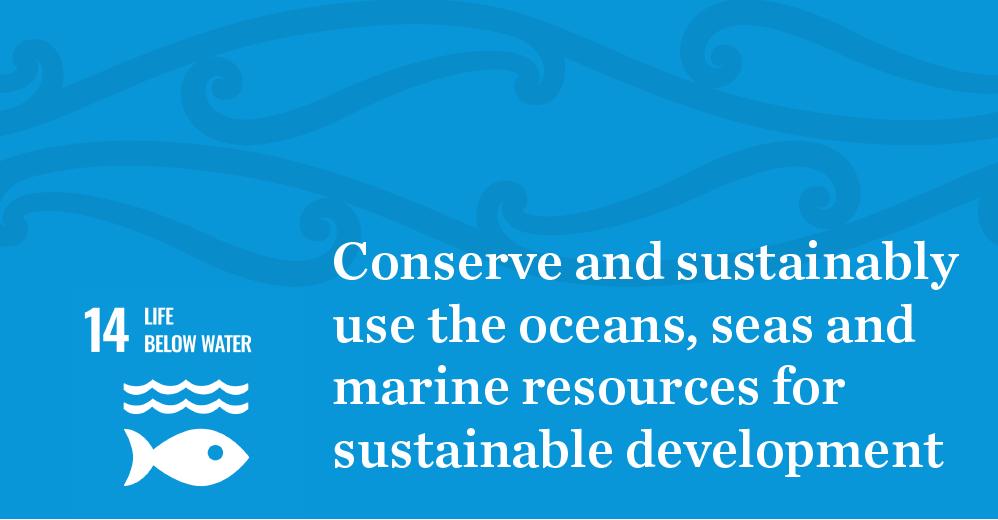 SDG 14 - Life Below Water. Conserve and sustainably use the oceans, seas, and marine resources for sustainable development.