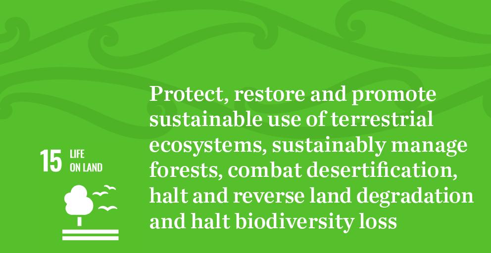 SDG 15 - Life on Land. Protect, restore, and promote sustainable use of terrestrial ecosystems, sustainably manage forests, combat desertification, halt and reverse land degradation and halt biodiversity loss.