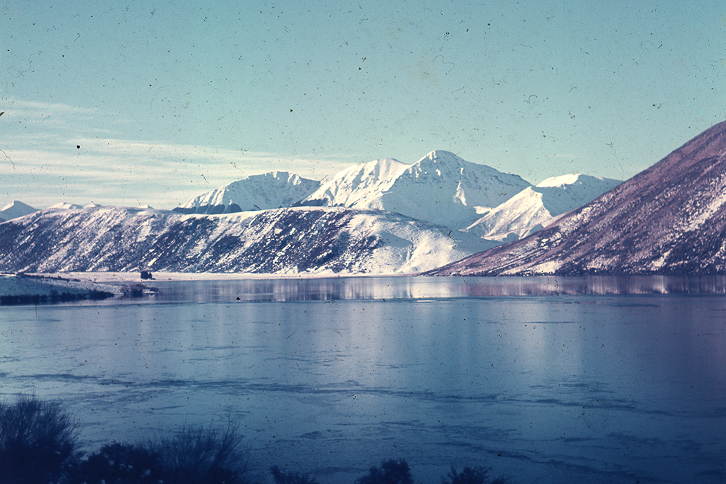 Image of the week 22nd July 2019 - 144553