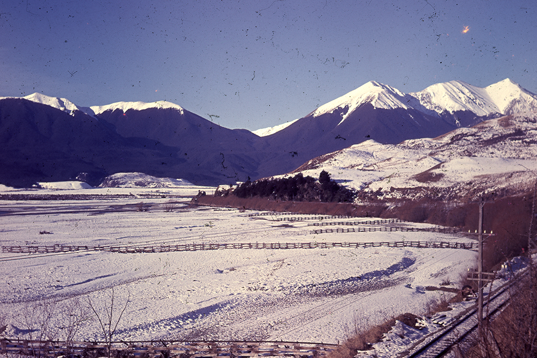 Image of the week 22nd July 2019 - 144549