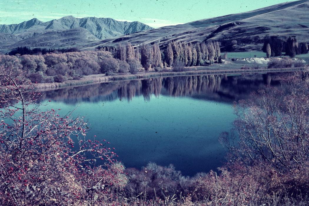 Image of the week 17th June 2019