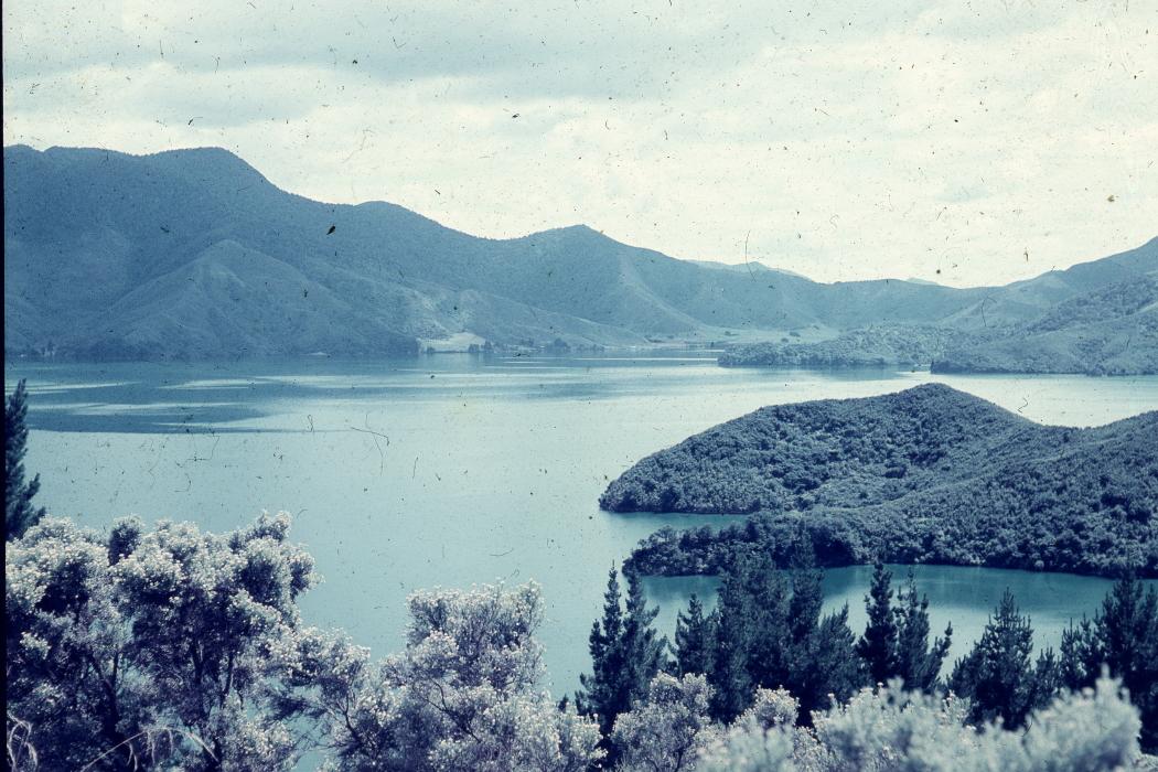 Image of the week 17th June 2019