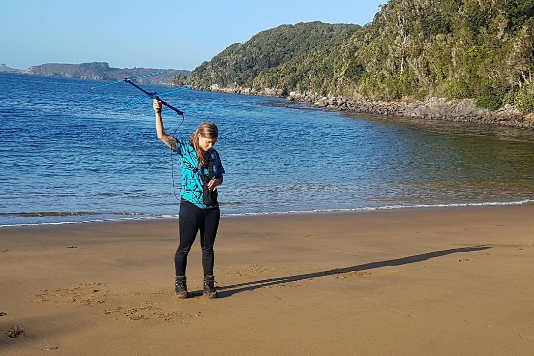 University of Canterbury doctoral candidate Jo Carpenter on Ulva Island radio tracking weka to find out where they are. (Photo credit: Theo Thompson).