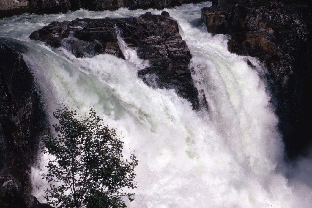 image of the week 6 apr 6 146614