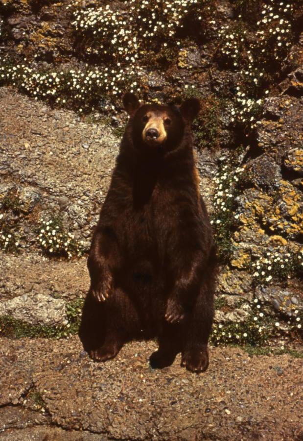 image of the week 6 apr 3 143199