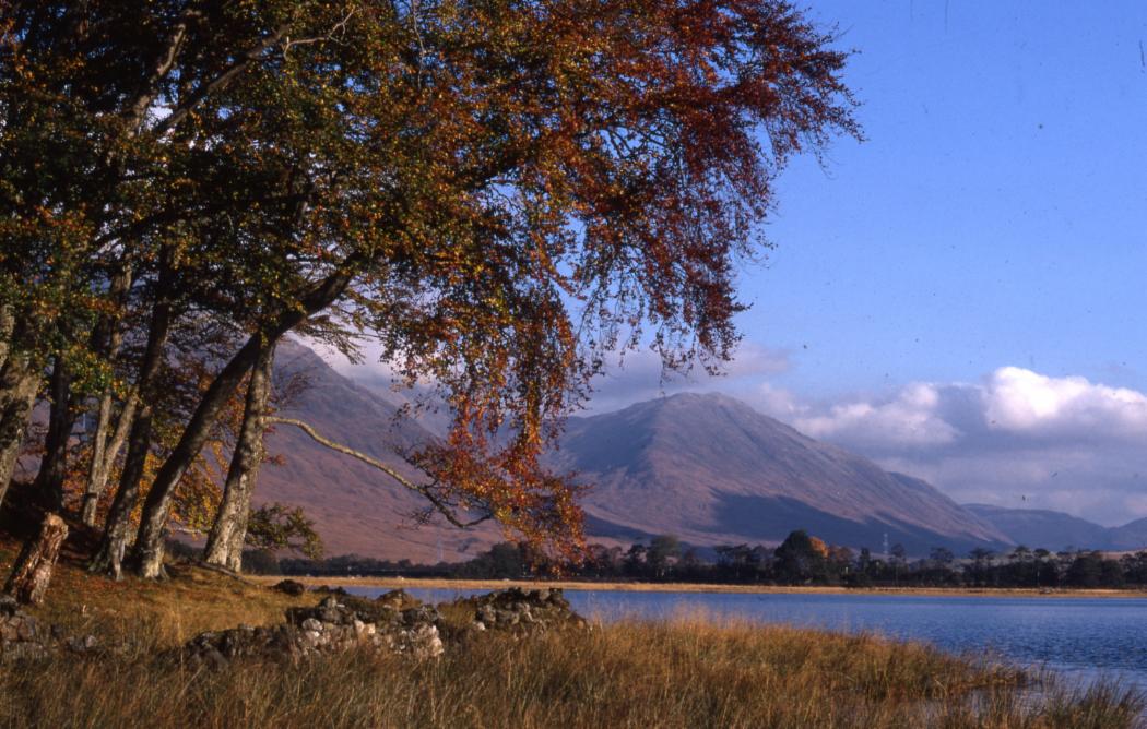 image of the week 6 apr 5 146516