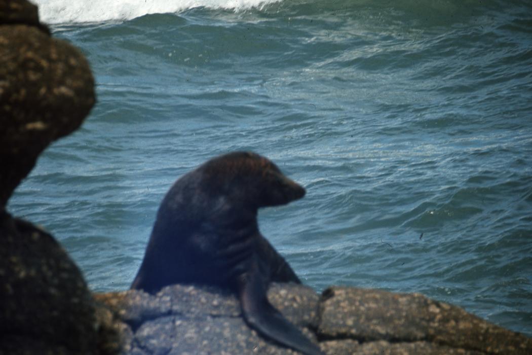 image of the week 6 apr 2 147668