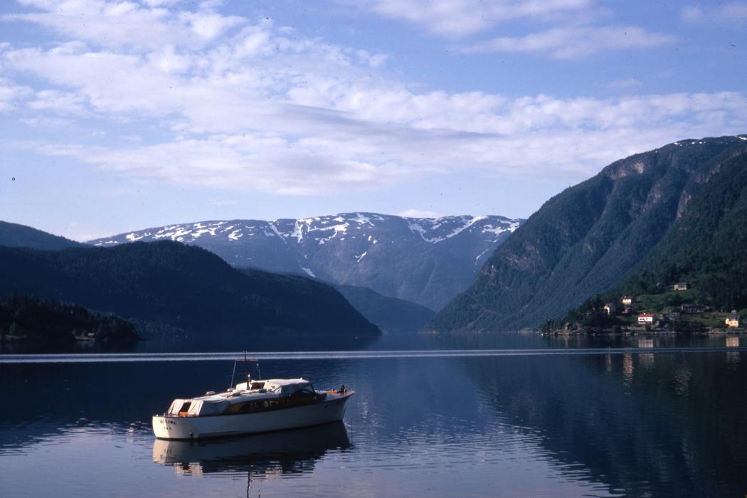 image of the week 27 jul 2020